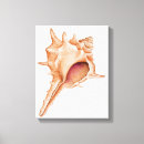 Zoek naar weekdier posters Dieren