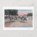 Zoek naar ezel briefkaarten Mexico