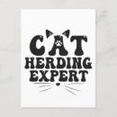 Zoek naar humoristische verjaardagskaarten Feliene