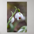 Zoek naar lieveheersbeestje kunst Bloemen
