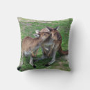 Zoek naar kangoeroes kussens Australië