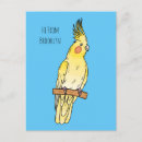 Zoek naar kakkerlak briefkaarten Vogel
