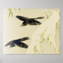 Zoek naar vogels posters Sneeuw