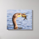 Zoek naar kam kunst Aalscholver met dubbele kam