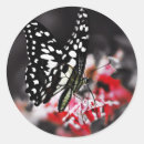 Zoek naar vintage vlinder stickers Bloem
