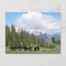 Zoek naar keystone briefkaarten Colorado