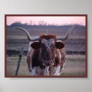 Zoek naar texas longhorn kunst Cattle