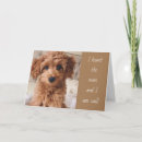 Zoek naar ernstig kaarten Voor iedereen