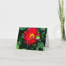 Zoek naar dahlia kaarten Vlinder