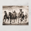 Zoek naar chase briefkaarten Fotografie