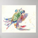 Zoek naar krab posters Waterverf