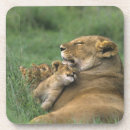 Zoek naar tanzania onderzetters Wild