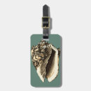 Zoek naar schelp accessoires Strand