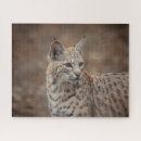 Zoek naar bedreigde dieren puzzels Natuur