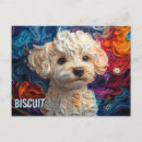 Zoek naar bichon frise briefkaarten Hondenliefhebber