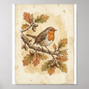 Zoek naar antiek vogel posters Frans