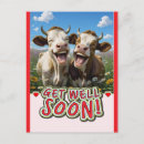 Zoek naar grappige koeien briefkaarten Voor iedereen