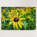 Zoek naar sunshine puzzels Tuin
