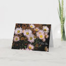 Zoek naar onvoorwaardelijke liefde kaarten Bloemen