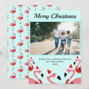 Zoek naar flamingo patroon briefkaarten Vogel