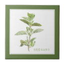 Zoek naar groen tegels Tuin