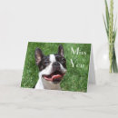 Zoek naar boston terrier kaarten Liefde