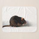 Zoek naar ratten dekens Knaagdier