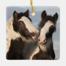Zoek naar gypsy ornamenten Pony