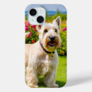 Zoek naar piepen iphone hoesjes Doodsbang