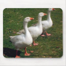 Zoek naar mousemats muismatten Dieren