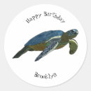 Zoek naar schildpad cartoon stickers Zee