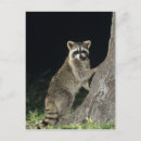 Zoek naar gewervelde dieren posters Landbouwgrond