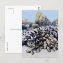 Zoek naar mossel briefkaarten Oceaan