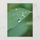 Zoek naar eco briefkaarten Groen