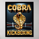 Zoek naar kickbox posters Fitness
