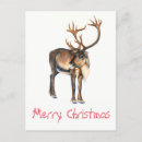 Zoek naar handschrift briefkaarten Waterverf