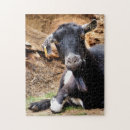 Zoek naar grappige geit puzzels Schattig