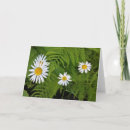 Zoek naar varens kaarten Groen