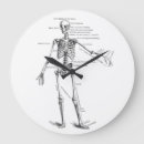 Zoek naar anatomie klokken Skelet