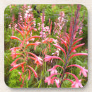 Zoek naar oostelijk onderzetters Dag