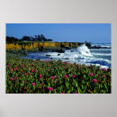Zoek naar californië strand posters Roze