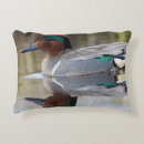 Zoek naar moeras kussens Vogel