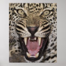 Zoek naar agressie posters Gevaar