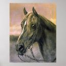 Zoek naar paard hoofd posters Portret
