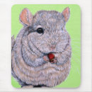 Zoek naar chinchilla muismatten Knaagdier