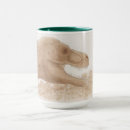 Zoek naar trex mokken Park