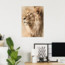 Zoek naar afrikaanse dieren posters Elk persoon