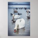 Zoek naar zwanen posters Voor hem/haar