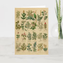 Zoek naar vintage botanical kaarten Bloemen