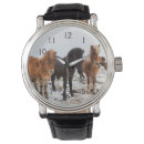 Zoek naar veulen geschenken Equus caballus